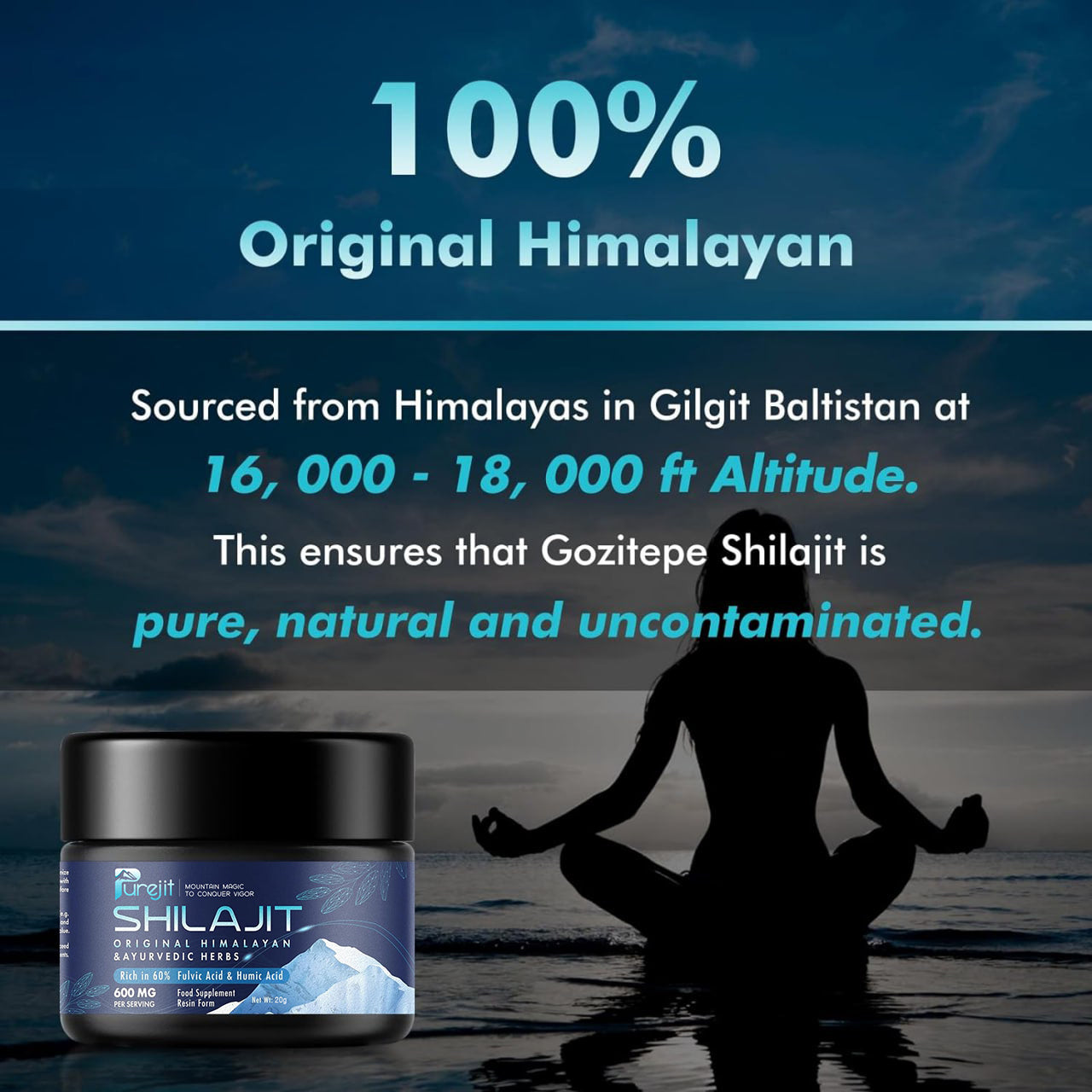 PURE SHILAJIT ESSENTIAL EXTRACT 20G